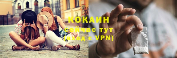 гашик Кинешма