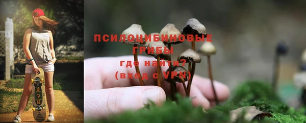 гашик Кинешма