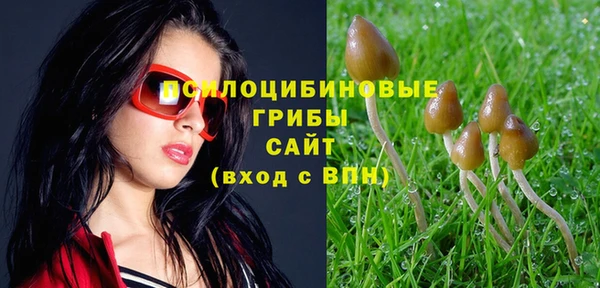 гашик Кинешма