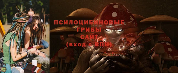 гашик Кинешма