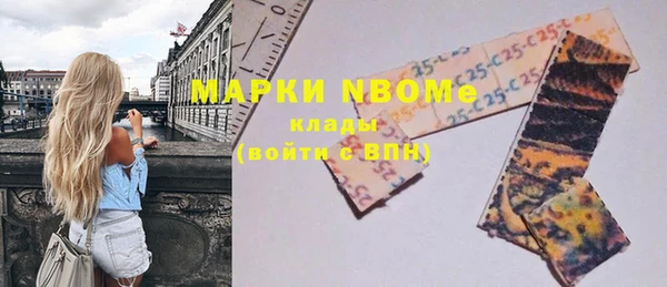 гашик Кинешма