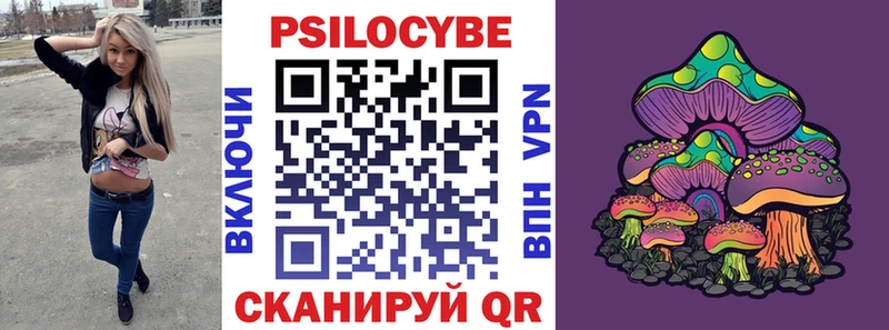 Купить закладки  Балахна  Псилоцибиновые грибы GOLDEN TEACHER 