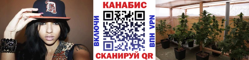 Конопля планчик  Купить где  Балахна 